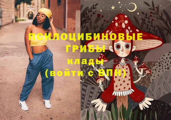 дурь Арсеньев