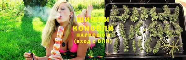 Альфа ПВП Аркадак