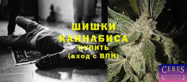 Альфа ПВП Аркадак