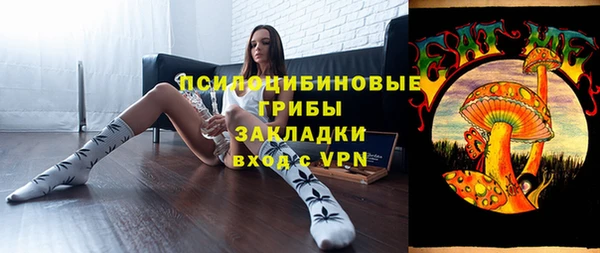 дурь Арсеньев