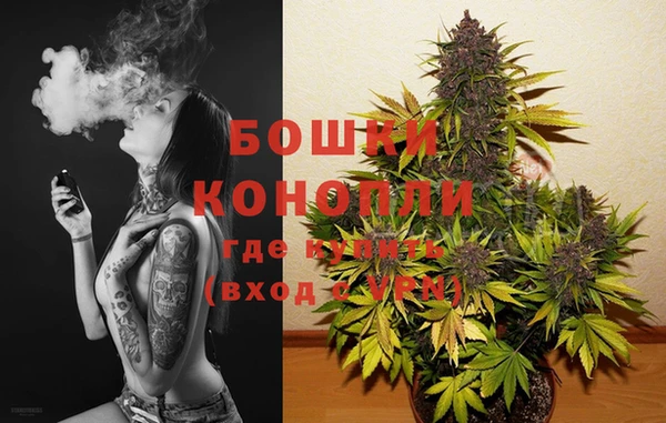 дурь Арсеньев