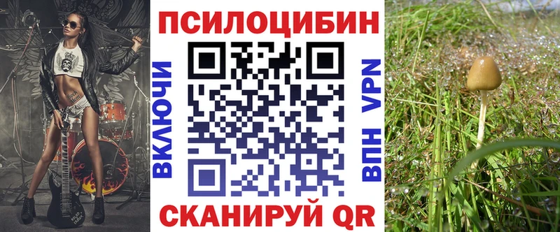блэк спрут ссылки  Туран  Галлюциногенные грибы Cubensis 